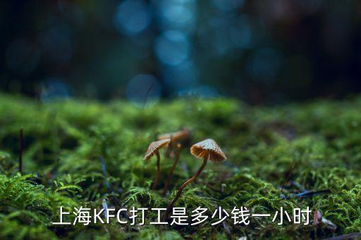 上?？系禄磕昙庸べY嗎