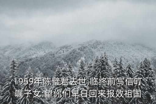 1959年陳璧君去世,臨終前寫信叮囑子女:望你們早日回來報(bào)效祖國