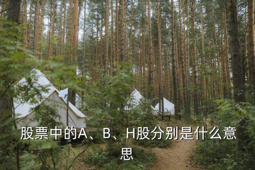 股票中的A、B、H股分別是什么意思