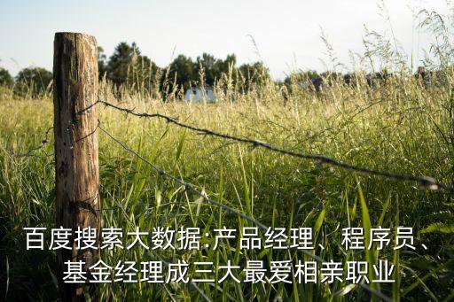 百度搜索大數(shù)據(jù):產(chǎn)品經(jīng)理、程序員、 基金經(jīng)理成三大最愛相親職業(yè)