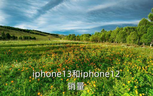 蘋(píng)果公司銷售數(shù)據(jù),蘋(píng)果銷售地區(qū)數(shù)據(jù)異常