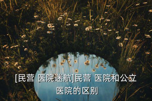 外資醫(yī)院進入中國,外資進入中國房地產(chǎn)