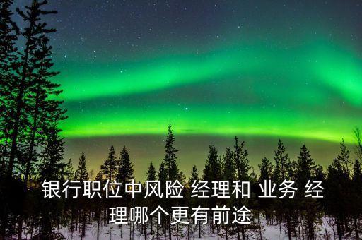  銀行職位中風(fēng)險(xiǎn) 經(jīng)理和 業(yè)務(wù) 經(jīng)理哪個更有前途