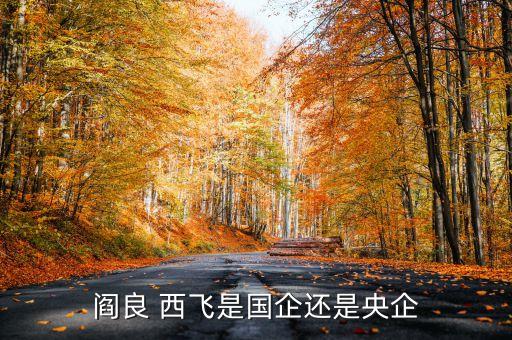 西飛集團腐敗,現(xiàn)任西飛集團領(lǐng)導名單