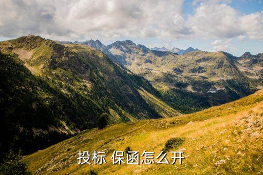 投標 保函怎么開