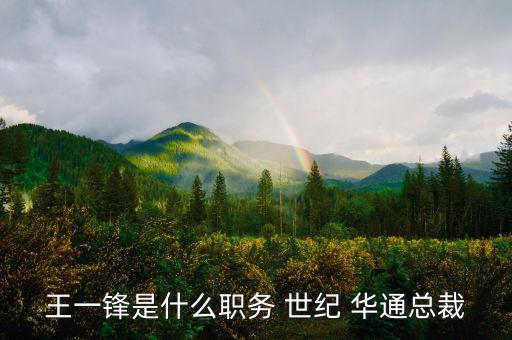 王一鋒是什么職務 世紀 華通總裁