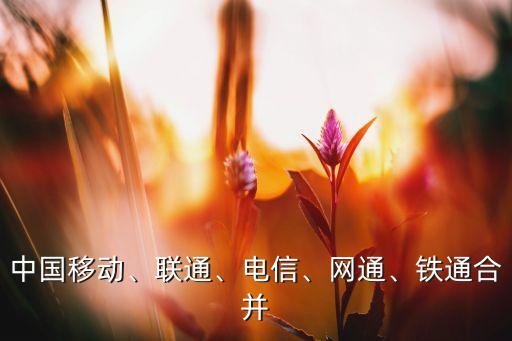 中國(guó)移動(dòng)、聯(lián)通、電信、網(wǎng)通、鐵通合并