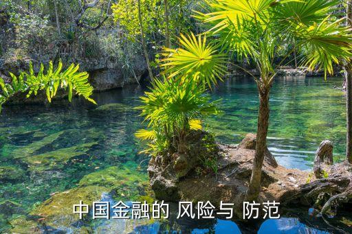 中國金融的 風險與 防范