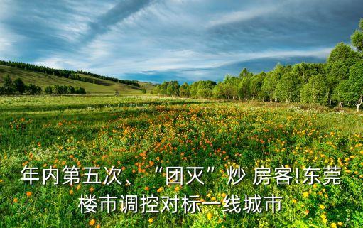 年內(nèi)第五次、“團(tuán)滅”炒 房客!東莞樓市調(diào)控對(duì)標(biāo)一線城市
