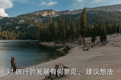 對 銀行的發(fā)展有何意見、 建議想法