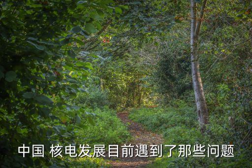 中國(guó) 核電發(fā)展目前遇到了那些問(wèn)題