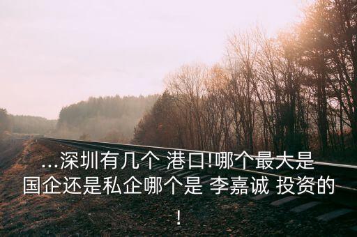 ...深圳有幾個(gè) 港口!哪個(gè)最大是國(guó)企還是私企哪個(gè)是 李嘉誠(chéng) 投資的!