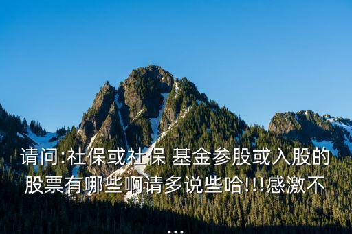 請問:社?；蛏绫?基金參股或入股的股票有哪些啊請多說些哈!!!感激不...