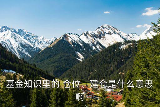 基金知識里的 倉位、建倉是什么意思啊