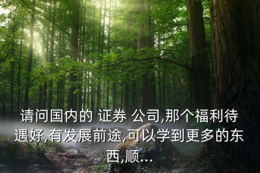 請(qǐng)問國內(nèi)的 證券 公司,那個(gè)福利待遇好,有發(fā)展前途,可以學(xué)到更多的東西,順...