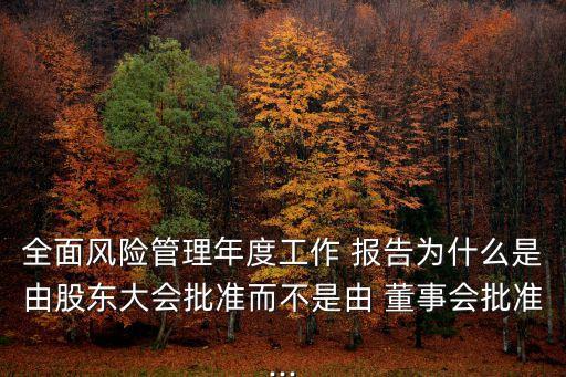 全面風(fēng)險管理年度工作 報告為什么是由股東大會批準而不是由 董事會批準...