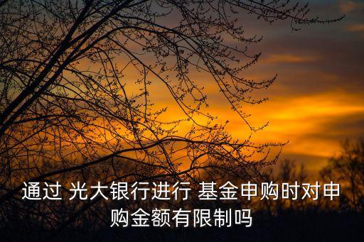 通過 光大銀行進(jìn)行 基金申購時(shí)對申購金額有限制嗎