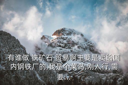 有誰做 鐵礦石 貿易啊主要是賣給國內鋼鐵廠的,我是個菜鳥,剛入行,需要...