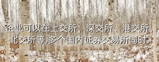 企業(yè)可以在上交所、深交所、港交所、北交所等,多個國內(nèi)證券交易所同時...