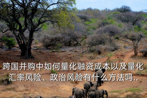 跨國并購中如何量化融資成本以及量化匯率風險、政治風險有什么方法嗎...