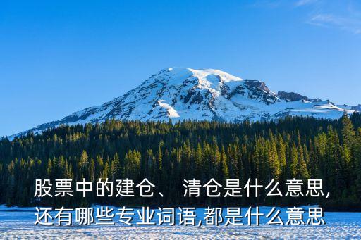  股票中的建倉、 清倉是什么意思,還有哪些專業(yè)詞語,都是什么意思