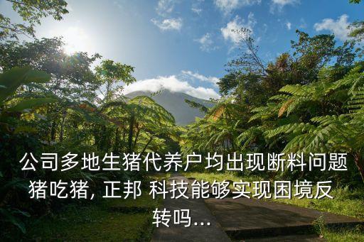 四川正邦科技有限責任公司,呼和浩特市正邦房地產(chǎn)經(jīng)紀有限責任公司