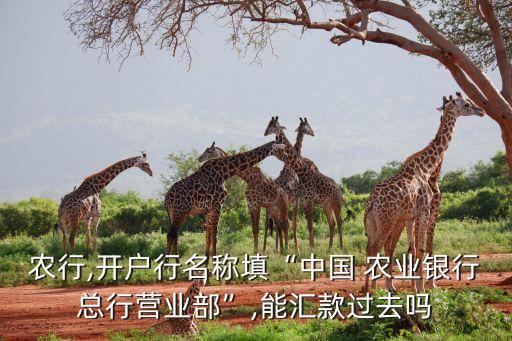 農(nóng)行,開(kāi)戶行名稱填“中國(guó) 農(nóng)業(yè)銀行總行營(yíng)業(yè)部”,能匯款過(guò)去嗎