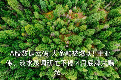 A股數(shù)據(jù)密碼:大金融被爆買! 王亞偉、淡水泉調研忙不停,4月底牌大曝光...