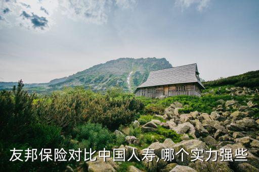 友邦保險(xiǎn)對(duì)比中國人壽,哪個(gè)實(shí)力強(qiáng)些