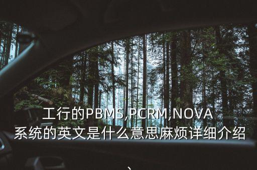 工行的PBMS,PCRM,NOVA 系統(tǒng)的英文是什么意思麻煩詳細介紹、