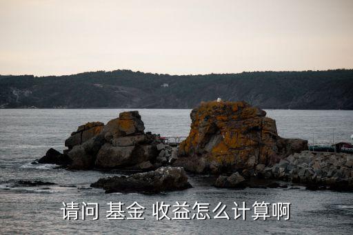 請(qǐng)問 基金 收益怎么計(jì)算啊