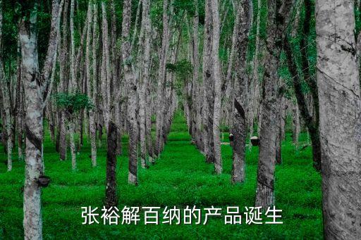  張裕解百納的產品誕生