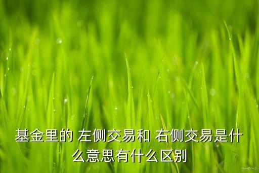 左側投資和右側投資,左側 右側 投資