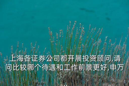  上海各證券公司都開展投資顧問,請問比較哪個(gè)待遇和工作前景更好,申萬...