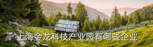  上海金龍科技產業(yè)園有哪些企業(yè)