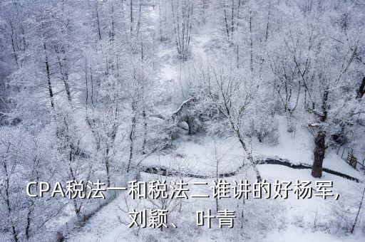 CPA稅法一和稅法二誰講的好楊軍,劉穎、 葉青