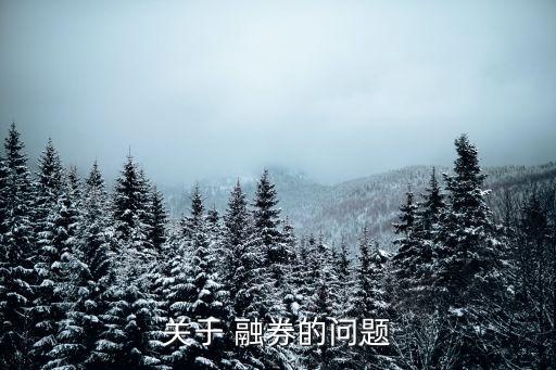 關(guān)于 融券的問題