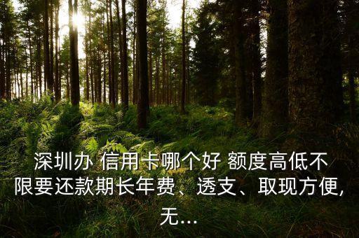  深圳辦 信用卡哪個(gè)好 額度高低不限要還款期長年費(fèi)、透支、取現(xiàn)方便,無...