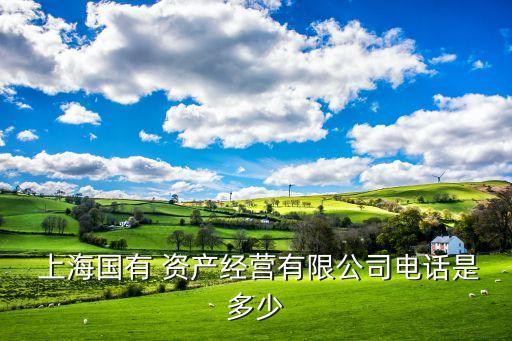 上海之上資產(chǎn),上海千萬(wàn)資產(chǎn)人數(shù)