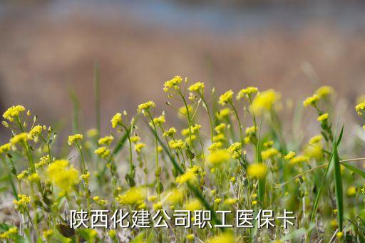 陜西化建公司職工醫(yī)?？? class=