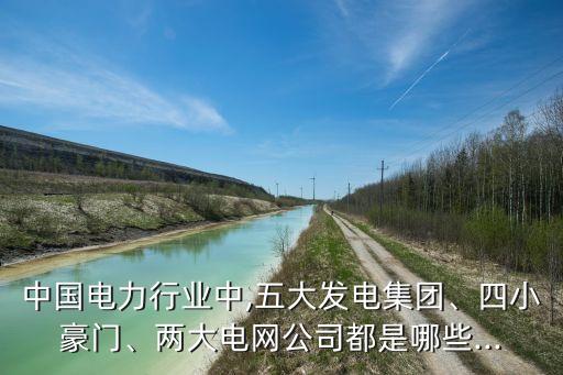 中國電力行業(yè)中,五大發(fā)電集團、四小豪門、兩大電網(wǎng)公司都是哪些...