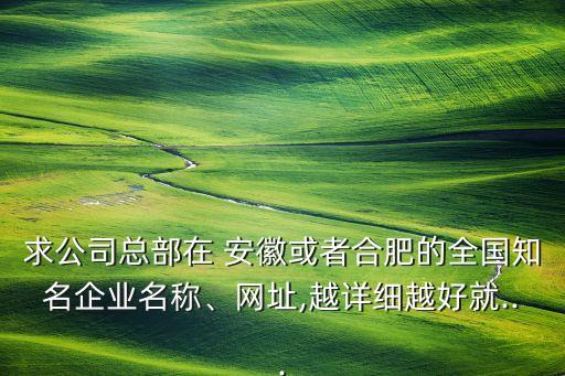 求公司總部在 安徽或者合肥的全國知名企業(yè)名稱、網(wǎng)址,越詳細越好就...
