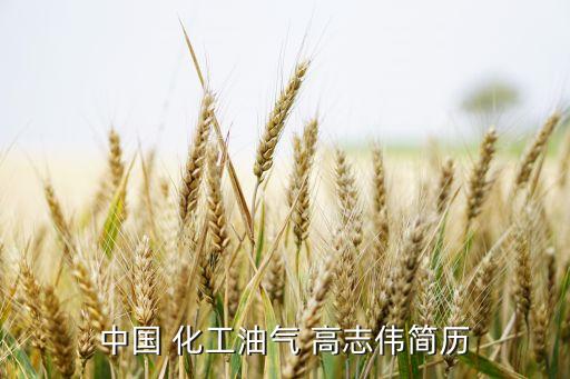 中國 化工油氣 高志偉簡(jiǎn)歷