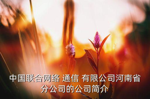 中國聯合網絡 通信 有限公司河南省分公司的公司簡介