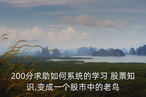 200分求助如何系統(tǒng)的學(xué)習(xí) 股票知識(shí),變成一個(gè)股市中的老鳥(niǎo)
