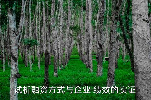 試析融資方式與企業(yè) 績效的實證