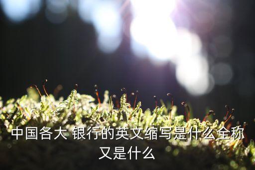 中國(guó)各大 銀行的英文縮寫(xiě)是什么全稱又是什么