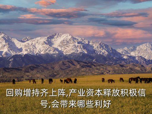 回購增持齊上陣,產業(yè)資本釋放積極信號,會帶來哪些利好