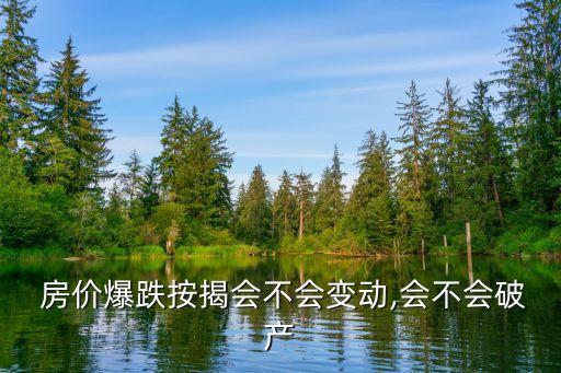  房價(jià)爆跌按揭會(huì)不會(huì)變動(dòng),會(huì)不會(huì)破產(chǎn)