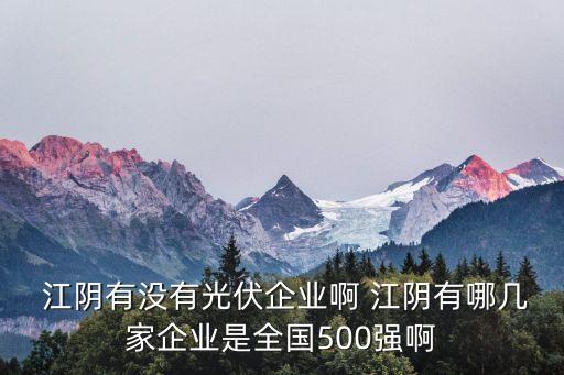  江陰有沒(méi)有光伏企業(yè)啊 江陰有哪幾家企業(yè)是全國(guó)500強(qiáng)啊